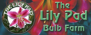 The Lily Pad Bulb Farm logo