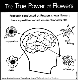 The Power of Flowers